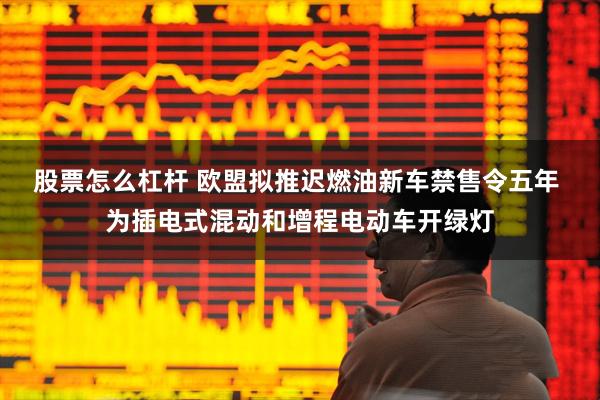 股票怎么杠杆 欧盟拟推迟燃油新车禁售令五年 为插电式混动和增程电动车开绿灯