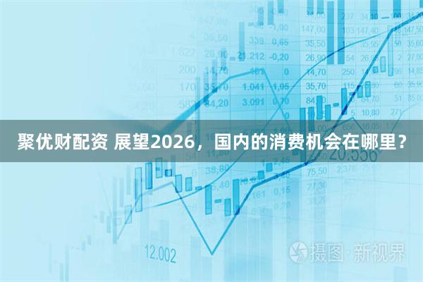 聚优财配资 展望2026，国内的消费机会在哪里？