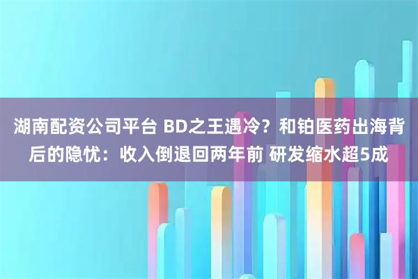 湖南配资公司平台 BD之王遇冷？和铂医药出海背后的隐忧：收入倒退回两年前 研发缩水超5成